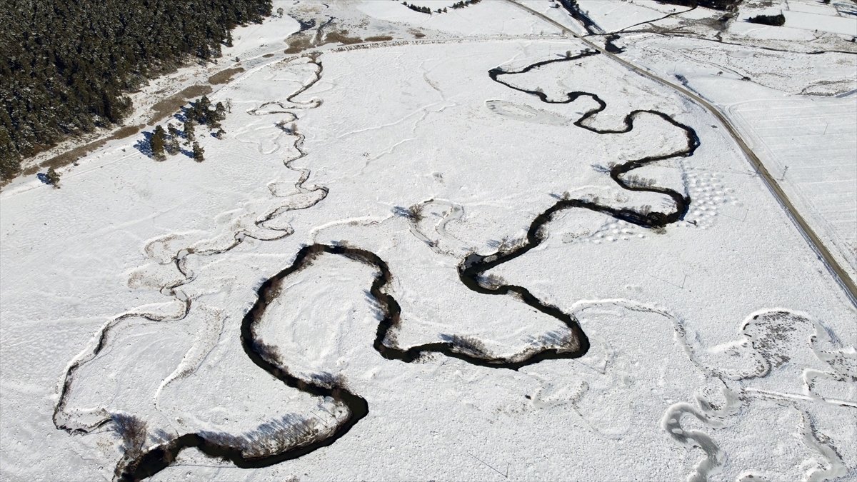 Bolu da ormanlar karla kaplandı #9