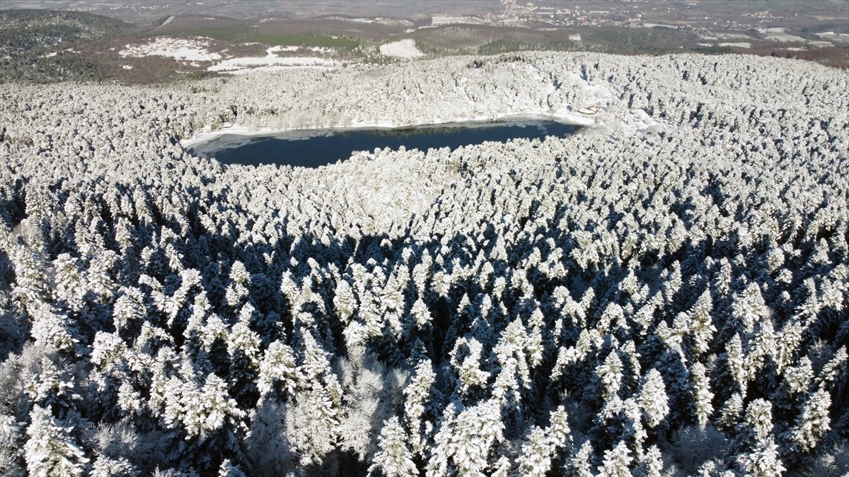 Bolu da ormanlar karla kaplandı #4