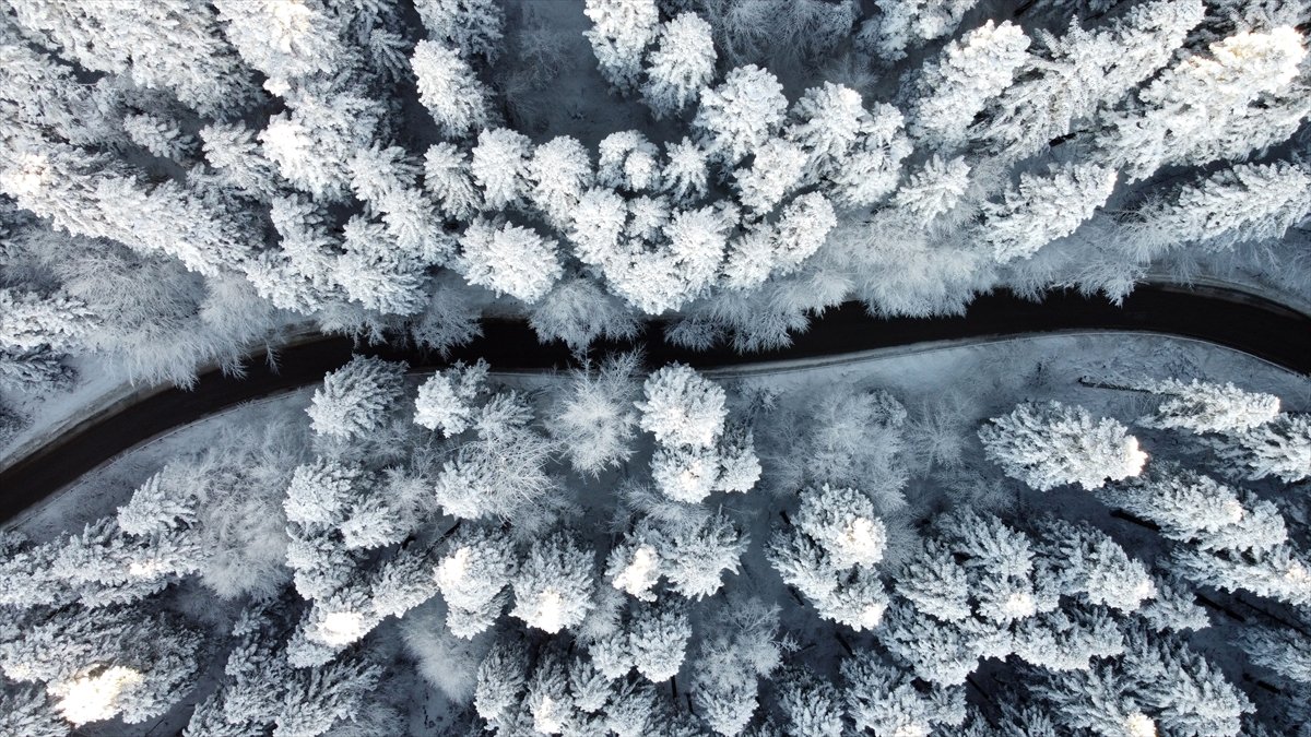 Bolu da ormanlar karla kaplandı #5