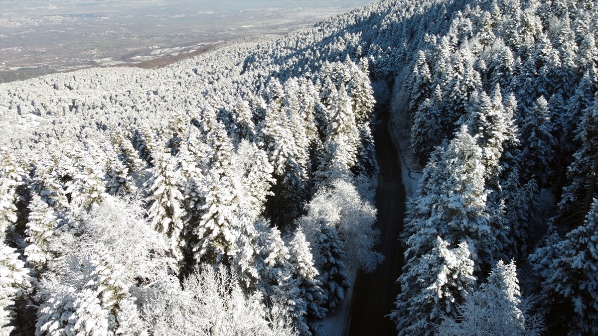 Bolu da ormanlar karla kaplandı #2