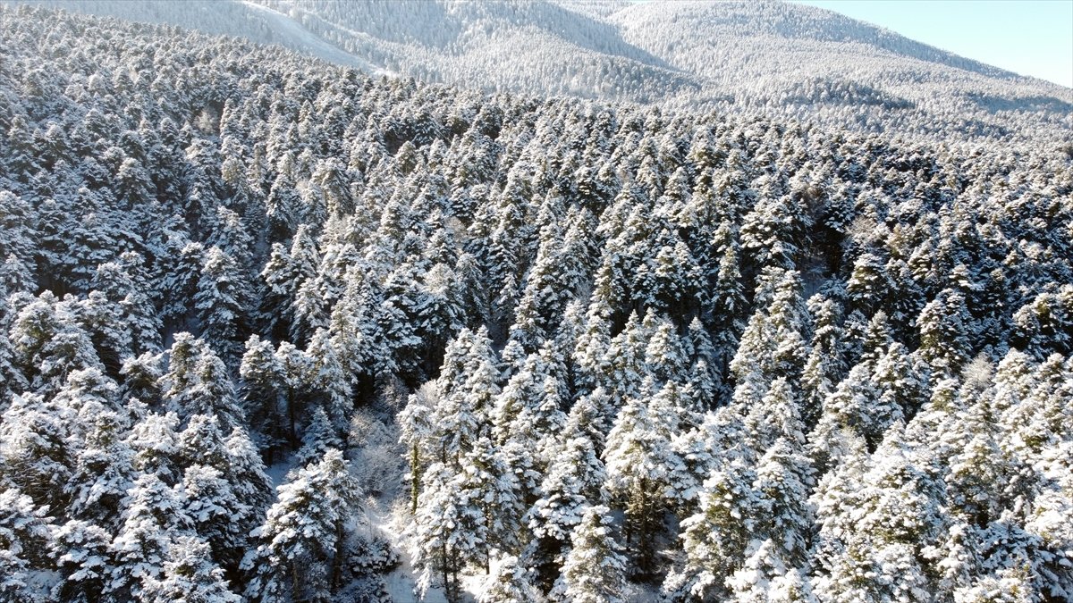 Bolu da ormanlar karla kaplandı #10
