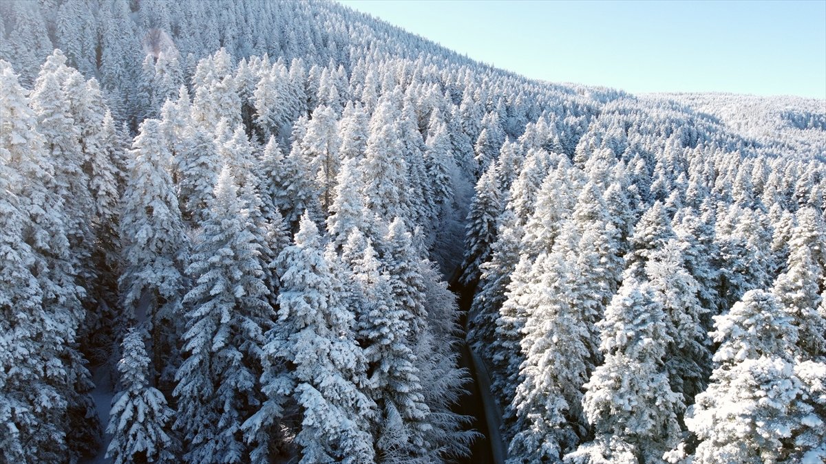 Bolu da ormanlar karla kaplandı #7