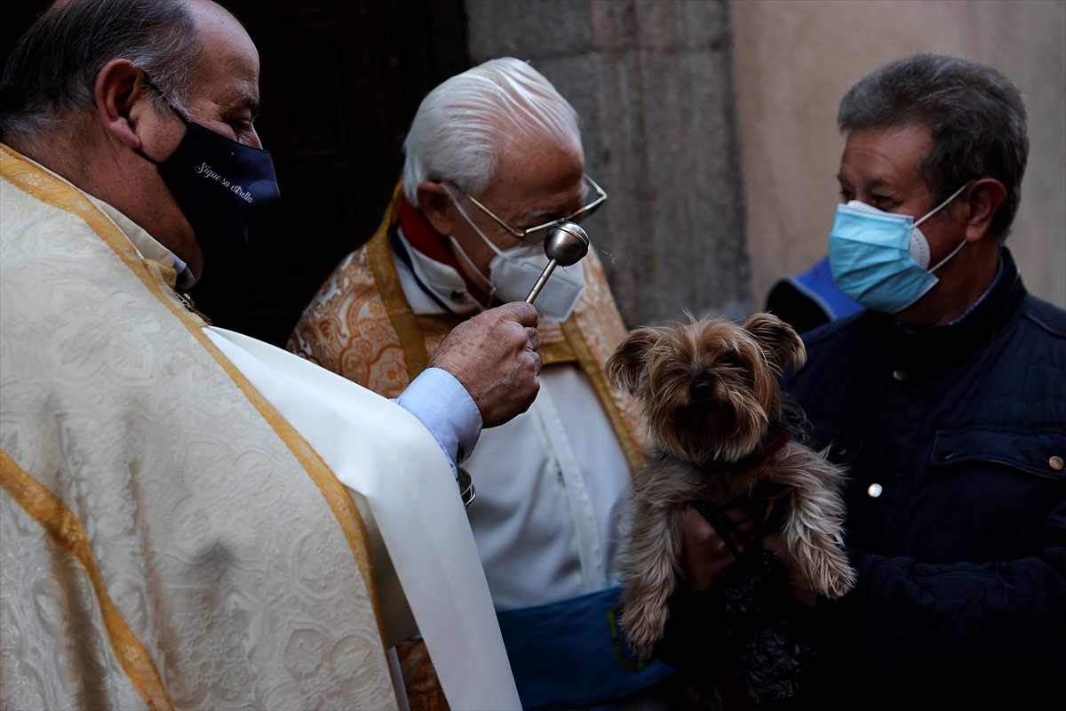İspanya da evcil hayvanlar, kutsanmak için sıraya girdi #9
