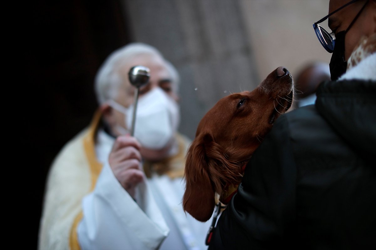 İspanya da evcil hayvanlar, kutsanmak için sıraya girdi #5