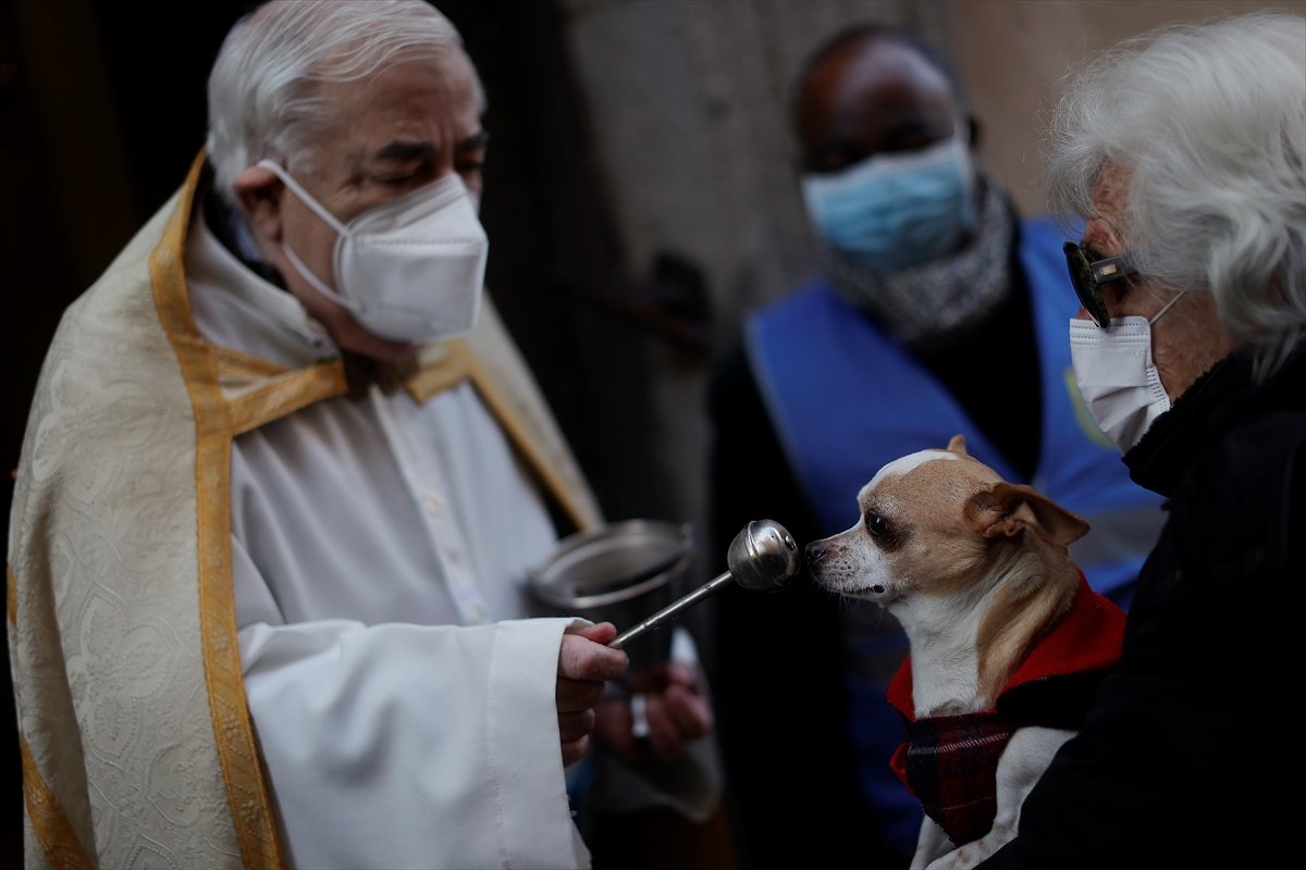 İspanya da evcil hayvanlar, kutsanmak için sıraya girdi #1