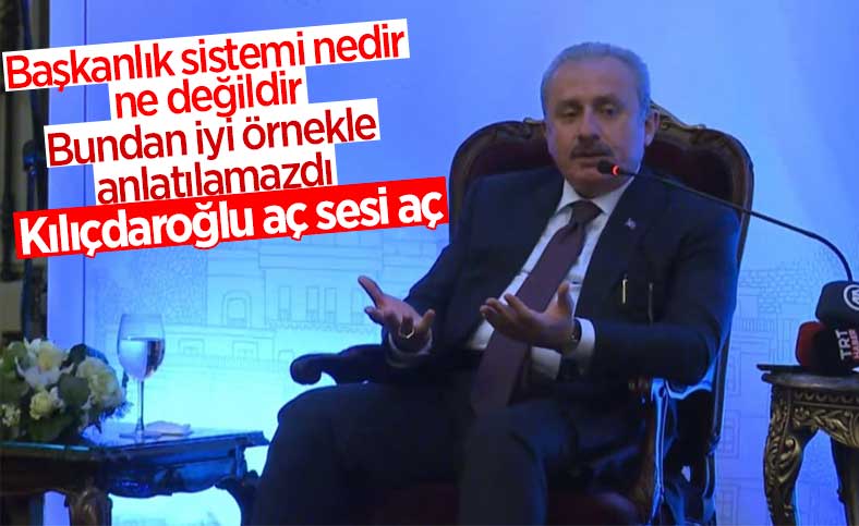 Mustafa Şentop'un başkanlık sistemi örneği