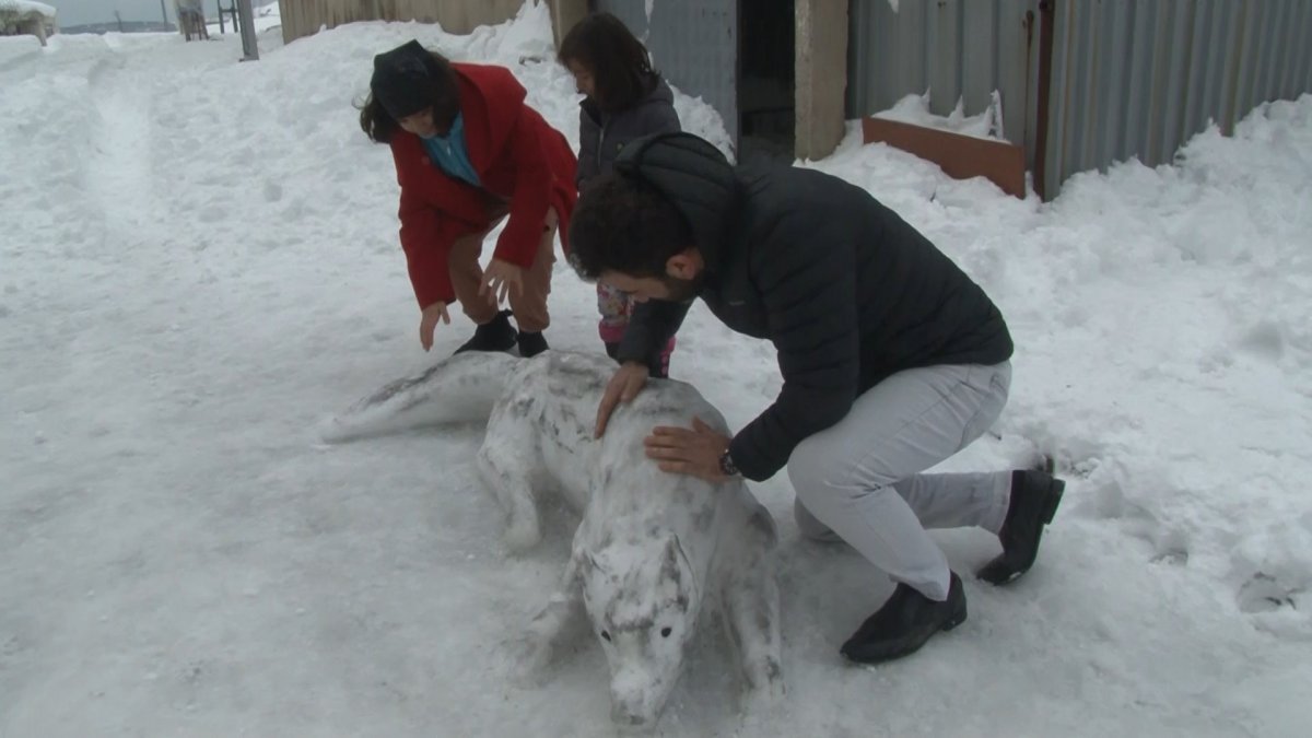İstanbul da kardan kurt yaptılar #1