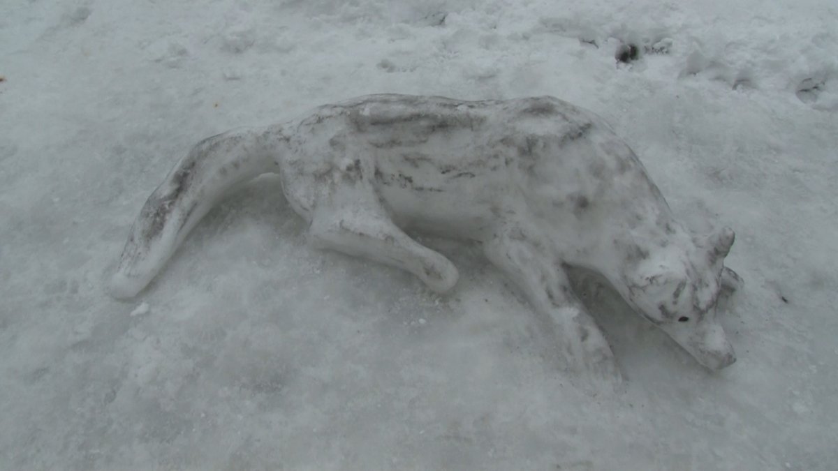 İstanbul da kardan kurt yaptılar #4