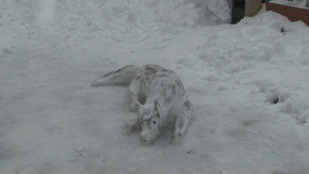 İstanbul da kardan kurt yaptılar #3