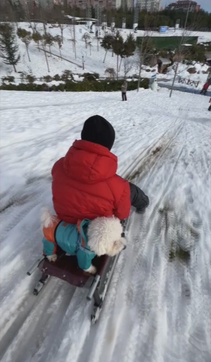 Beylikdüzü nde köpeğin karda kayak keyfi #4