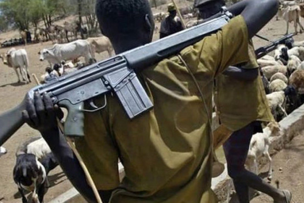 Nijerya da silahlı saldırı: 11 kişi öldü #1