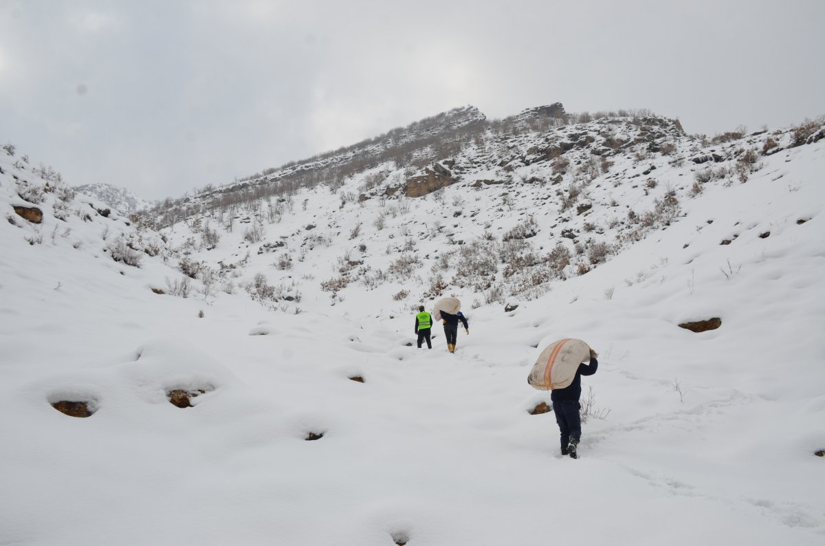 Tanin Dağlarına kepçelerle ulaşılıp yem bırakıldı #5