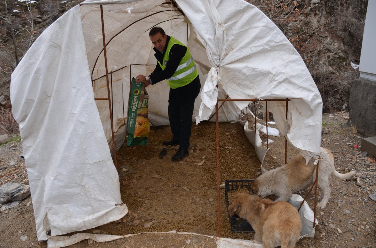 Tanin Dağlarına kepçelerle ulaşılıp yem bırakıldı #2