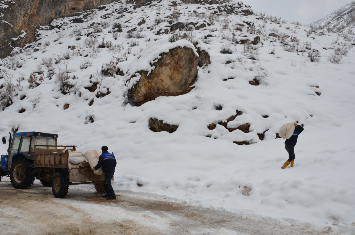 Tanin Dağlarına kepçelerle ulaşılıp yem bırakıldı #4