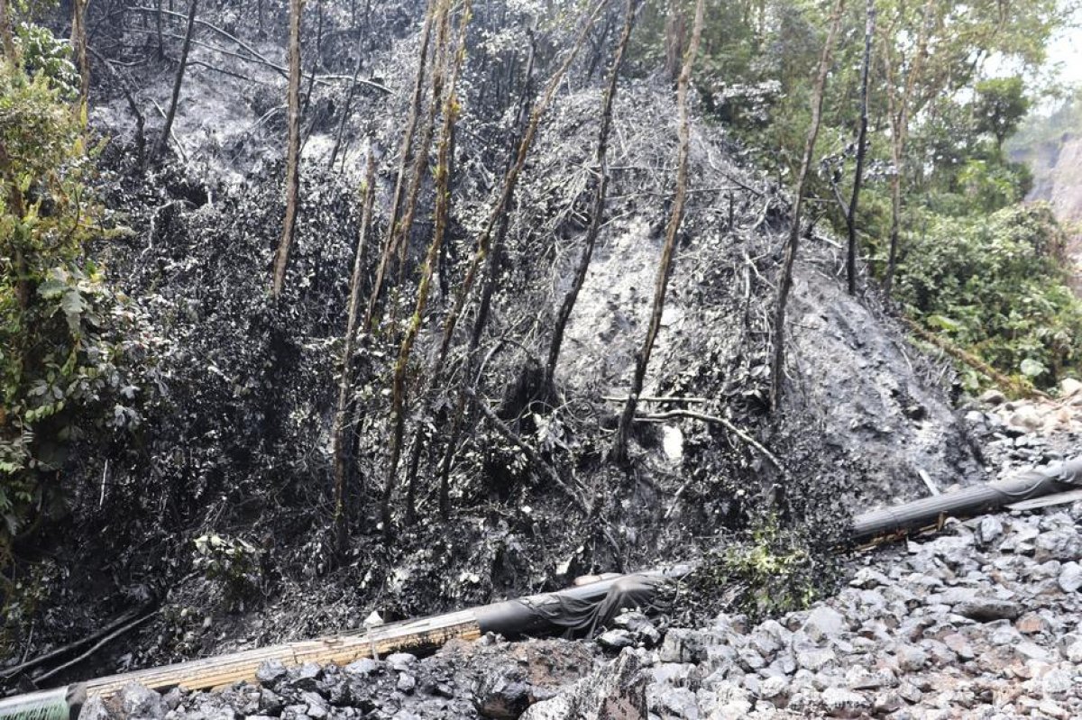 Patlayan boru hattı yüzünden oluşan petrol sızıntısı, Amazon ormanlarına yayıldı #1