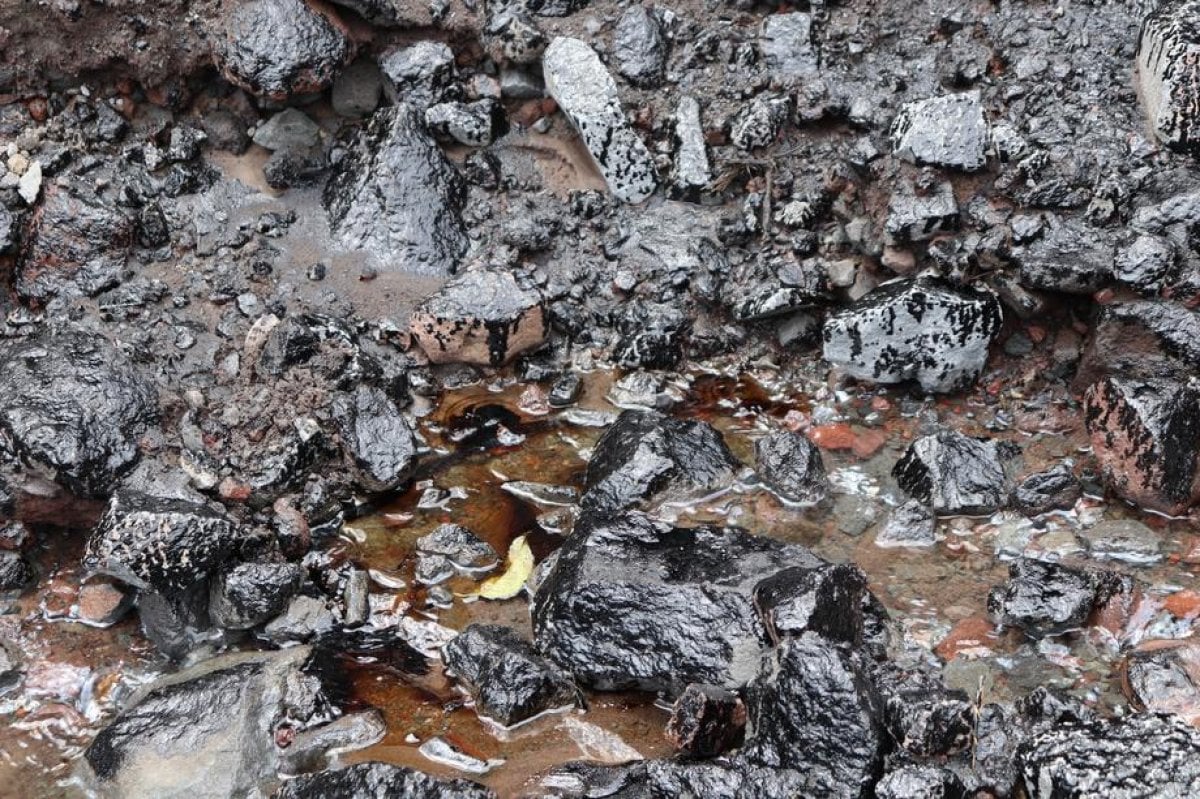 Patlayan boru hattı yüzünden oluşan petrol sızıntısı, Amazon ormanlarına yayıldı #3