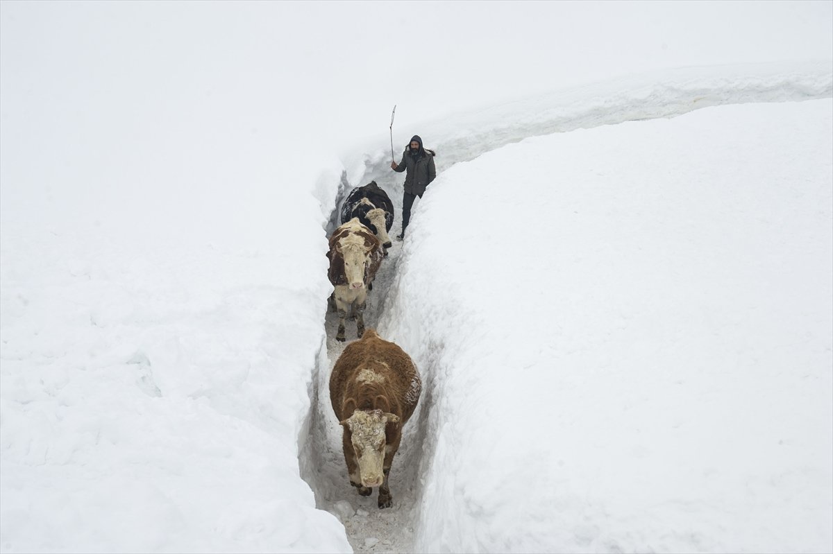 Etkili kar yağışı, Ovacık halkını sevindirdi #9