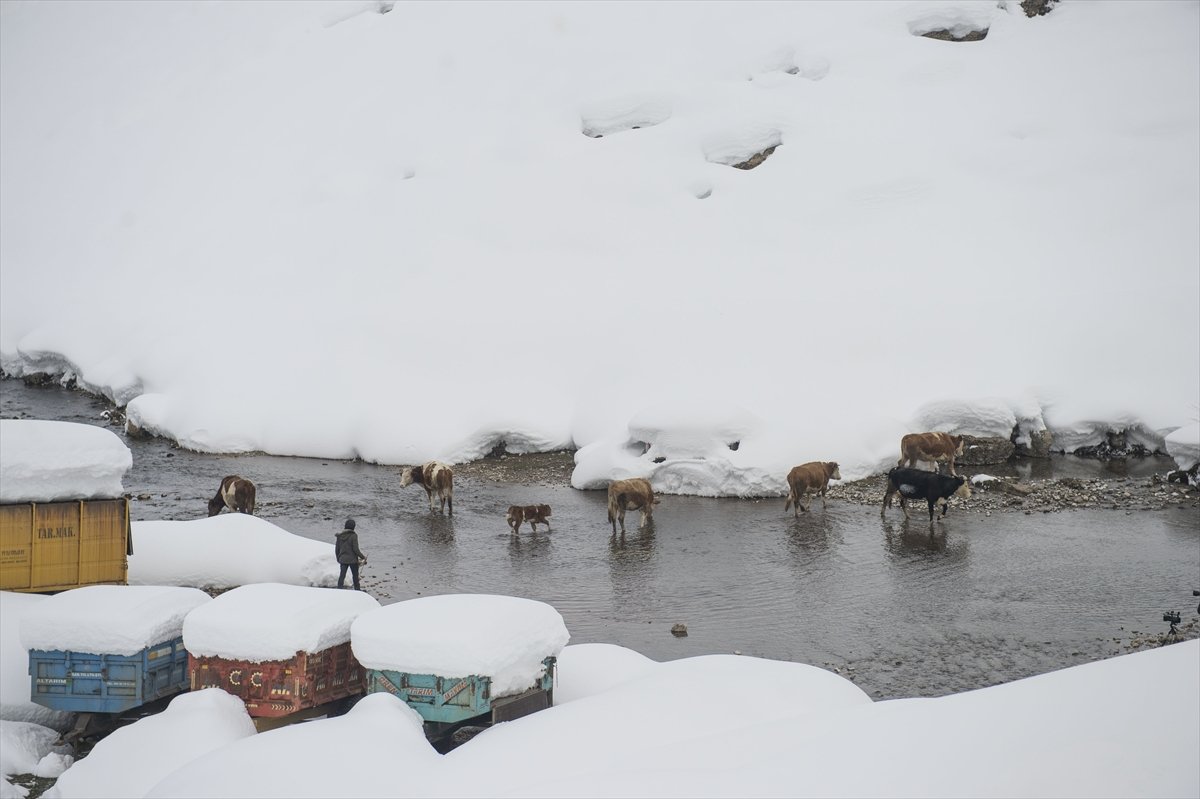 Etkili kar yağışı, Ovacık halkını sevindirdi #10