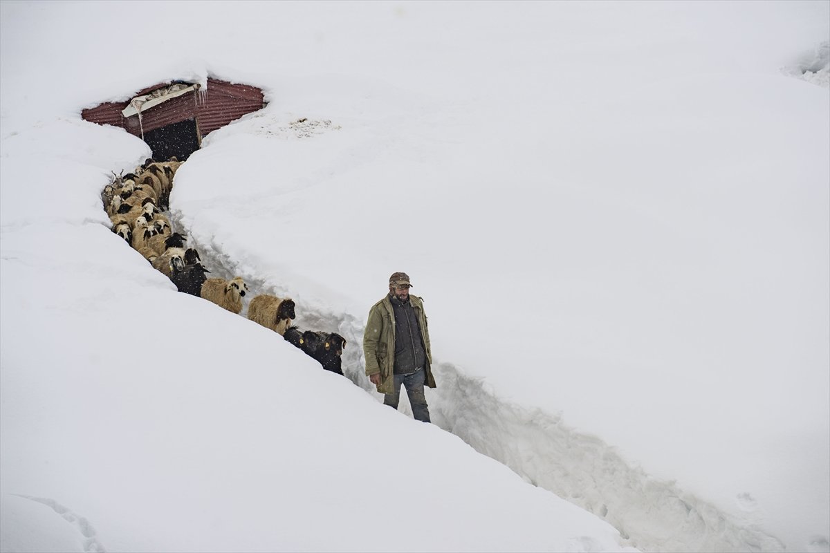 Etkili kar yağışı, Ovacık halkını sevindirdi #4