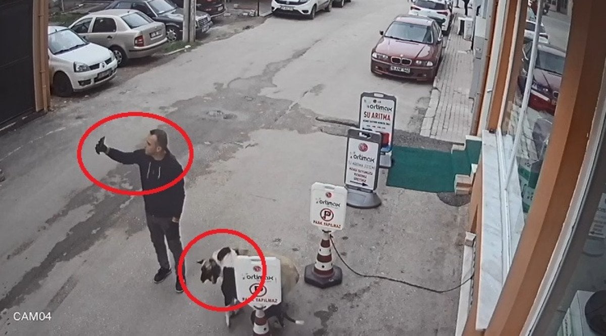Bursa’da selfie çekerken, tasmasız pitbull sokak köpeğine saldırdı #3