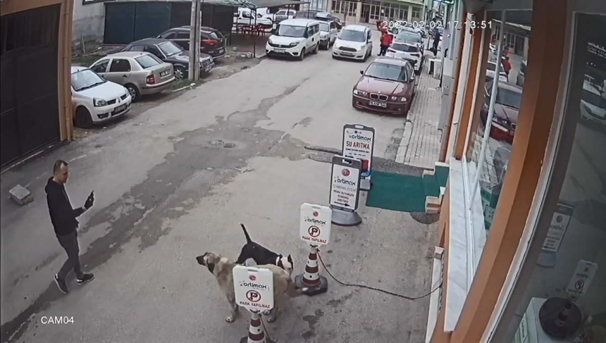 Bursa’da selfie çekerken, tasmasız pitbull sokak köpeğine saldırdı #1
