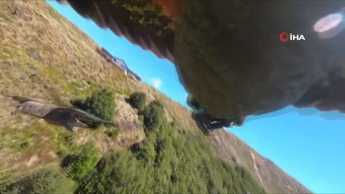 Yeni Zelanda da papağan çaldığı kamera ile uçuşunu filme aldı #1