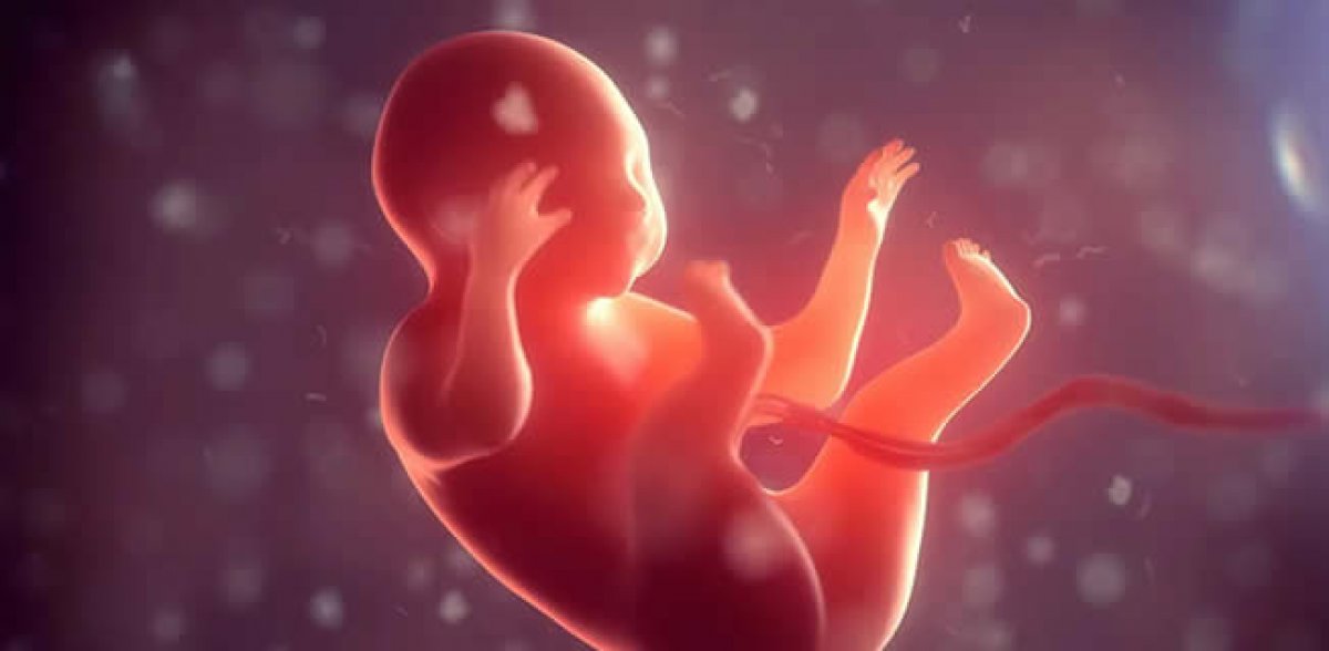 Hamilelik tarih oluyor! Çinli bilim insanları çığır açtı, tıp tarihinde böylesi görülmedi #1
