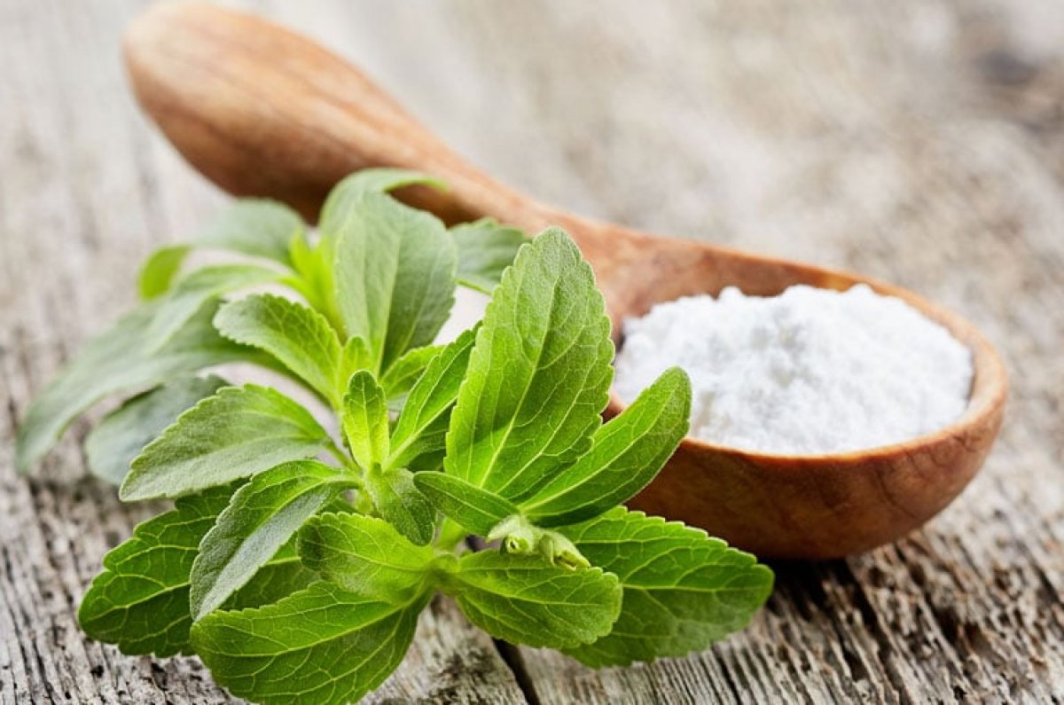 stevia-bitkisi-nedir