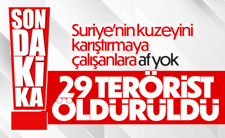 Saldırı hazırlığındaki 29 terörist öldürüldü