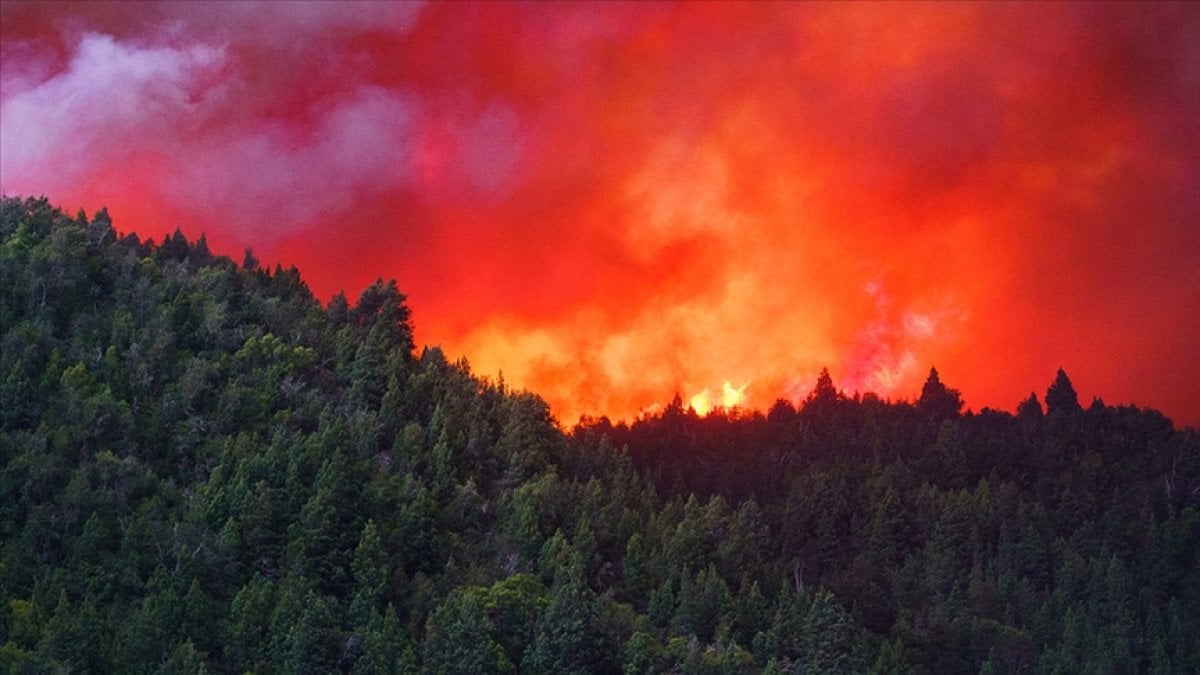 Arjantin de orman yangınları: 500 bin hektardan fazla alan zarar gördü #2
