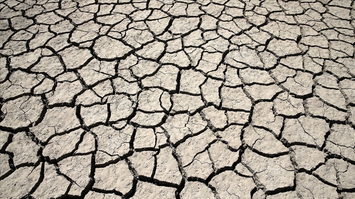 ABD nin batısında 1200 yılın en büyük kuraklığı yaşanıyor #2