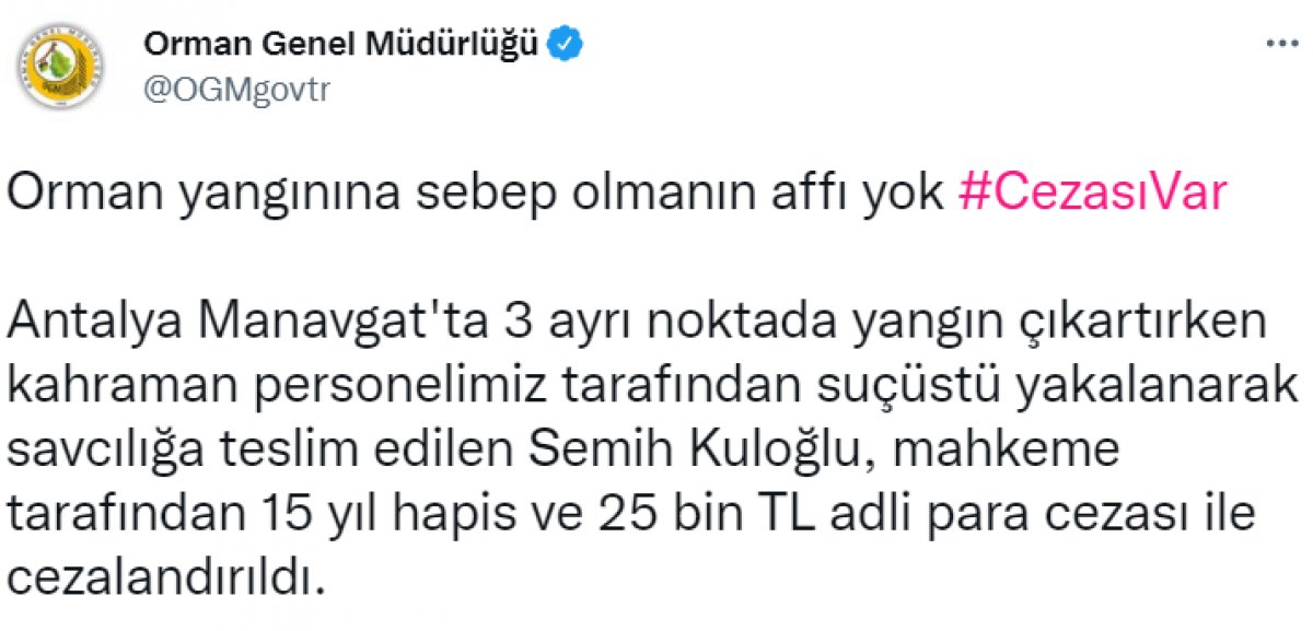 Manavgat yangınlarının failine 15 yıl hapis cezası #3