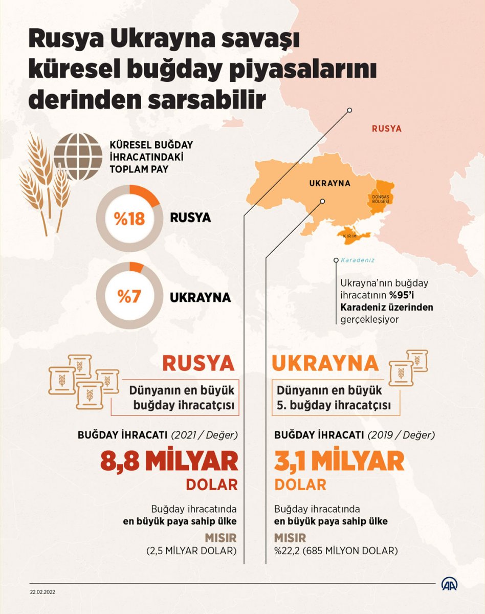 Rusya ile Ukrayna arasındaki savaş buğday piyasalarını sarsabilir  #2
