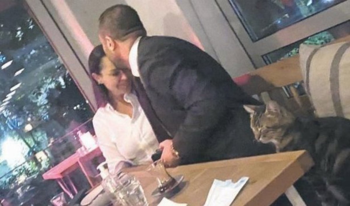 Senem Kuyucuoğlu, Hülya Avşar iddialarına cevap verdi #2