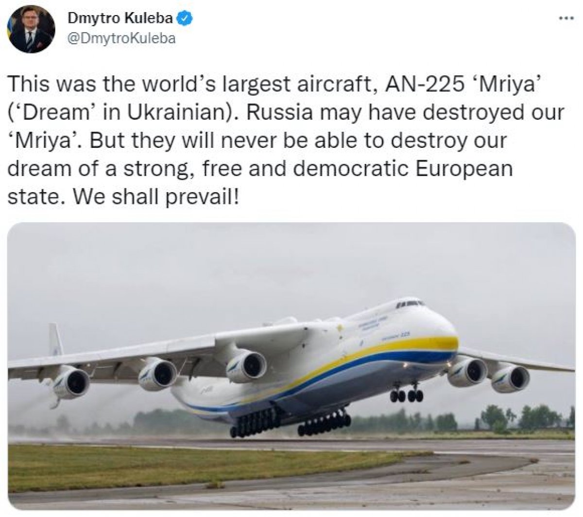 Dünyanın en büyük uçağı Antonov AN-225, Rus saldırısında vuruldu #1