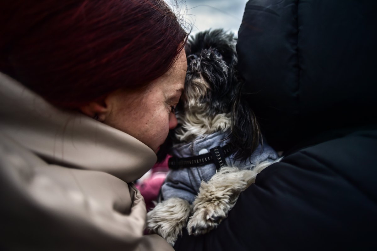 Ukrainians left their country in tears #3