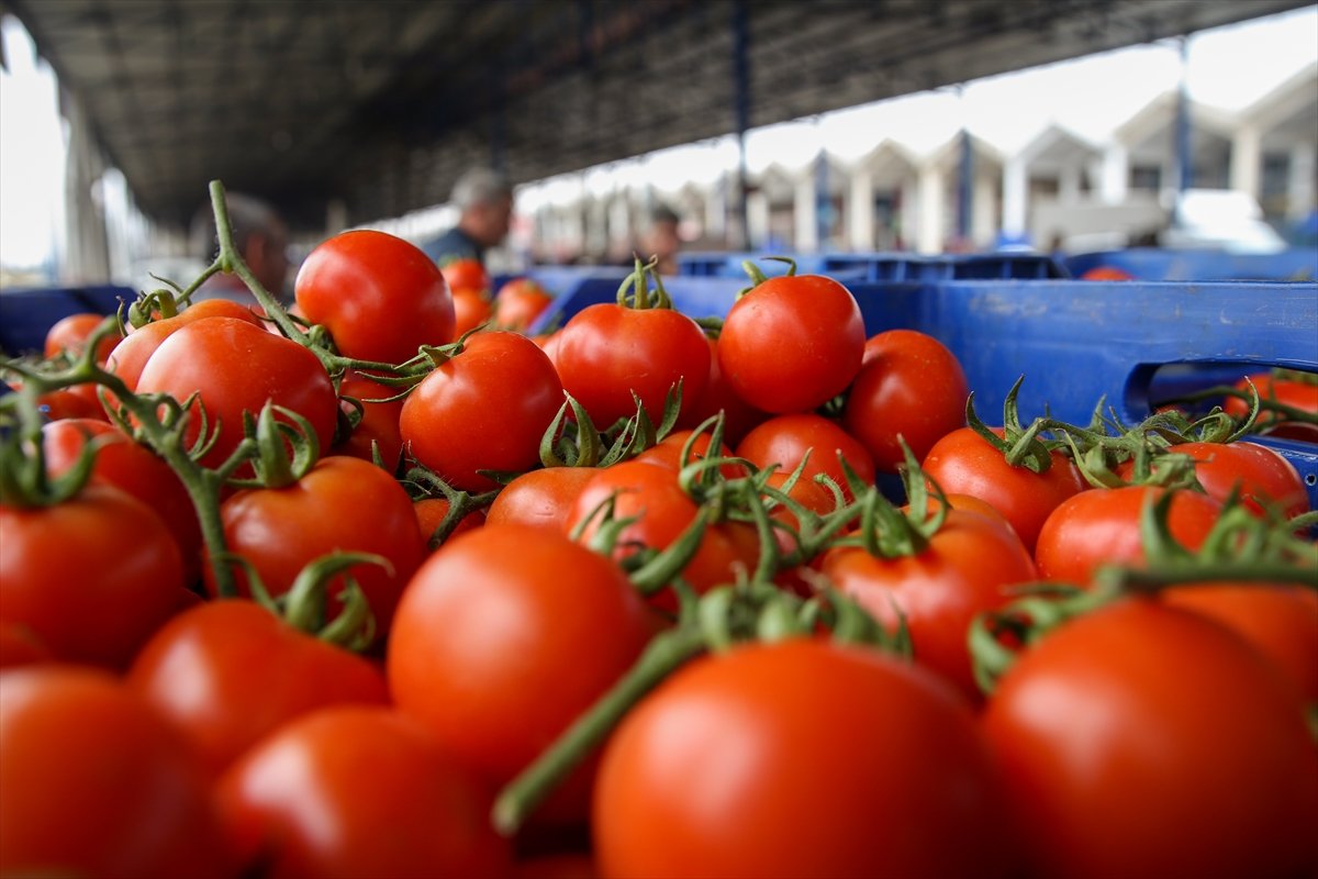 Ukrayna işgali Antalya Toptancı Hali nde sebze fiyatlarını düşürdü #1