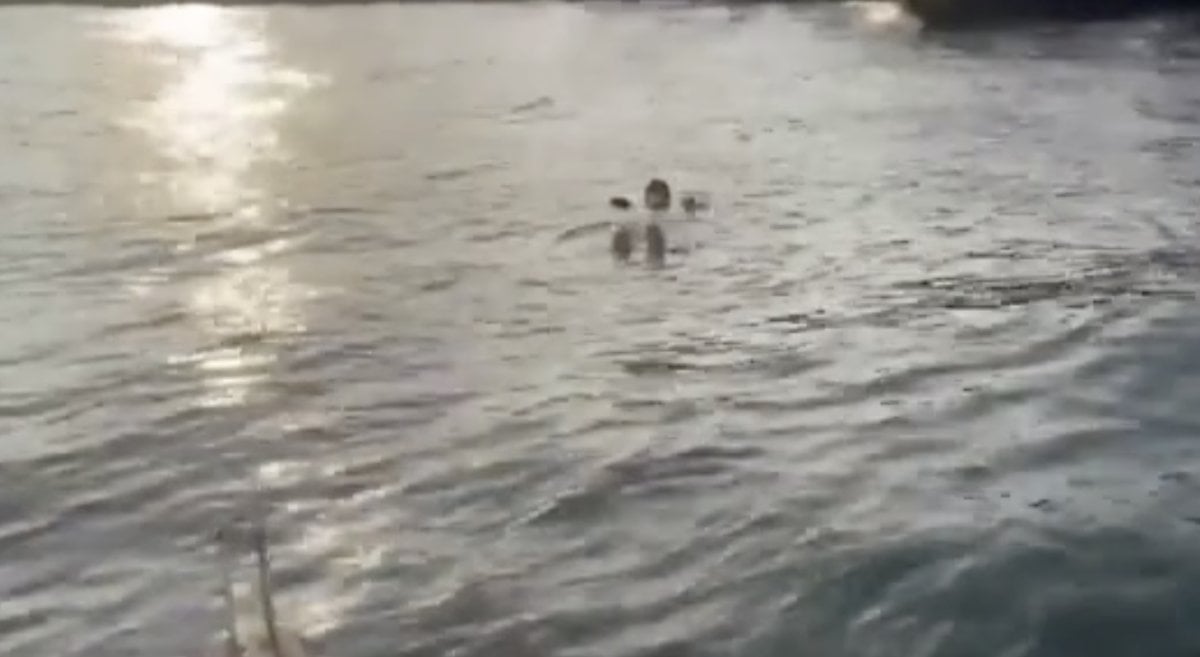İzmir de denize düşen kadın Sahil Güvenlik ekiplerince kurtarıldı #1