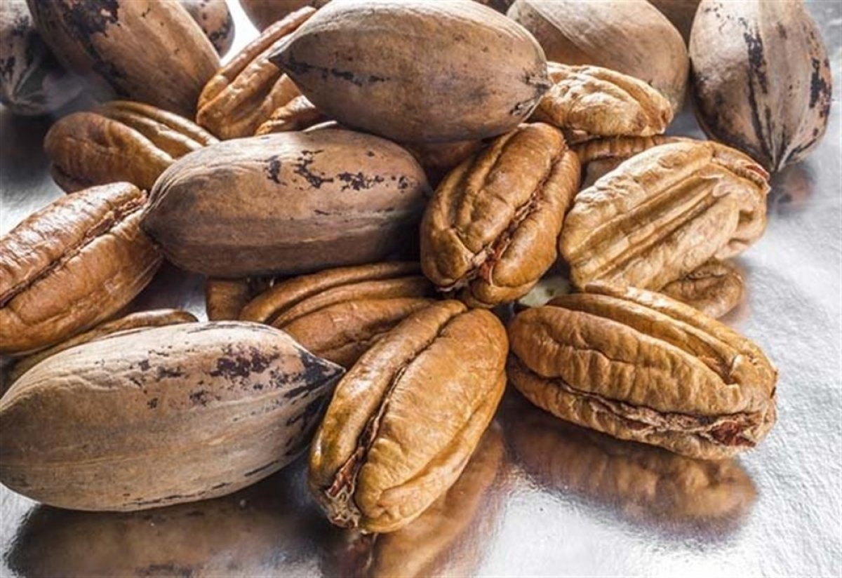 Pikan cevizi nedir #2