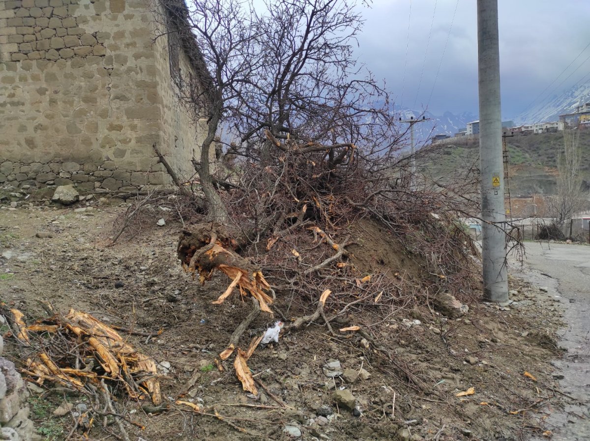 Batman da şiddetli rüzgar hayatı olumsuz etkiledi #4