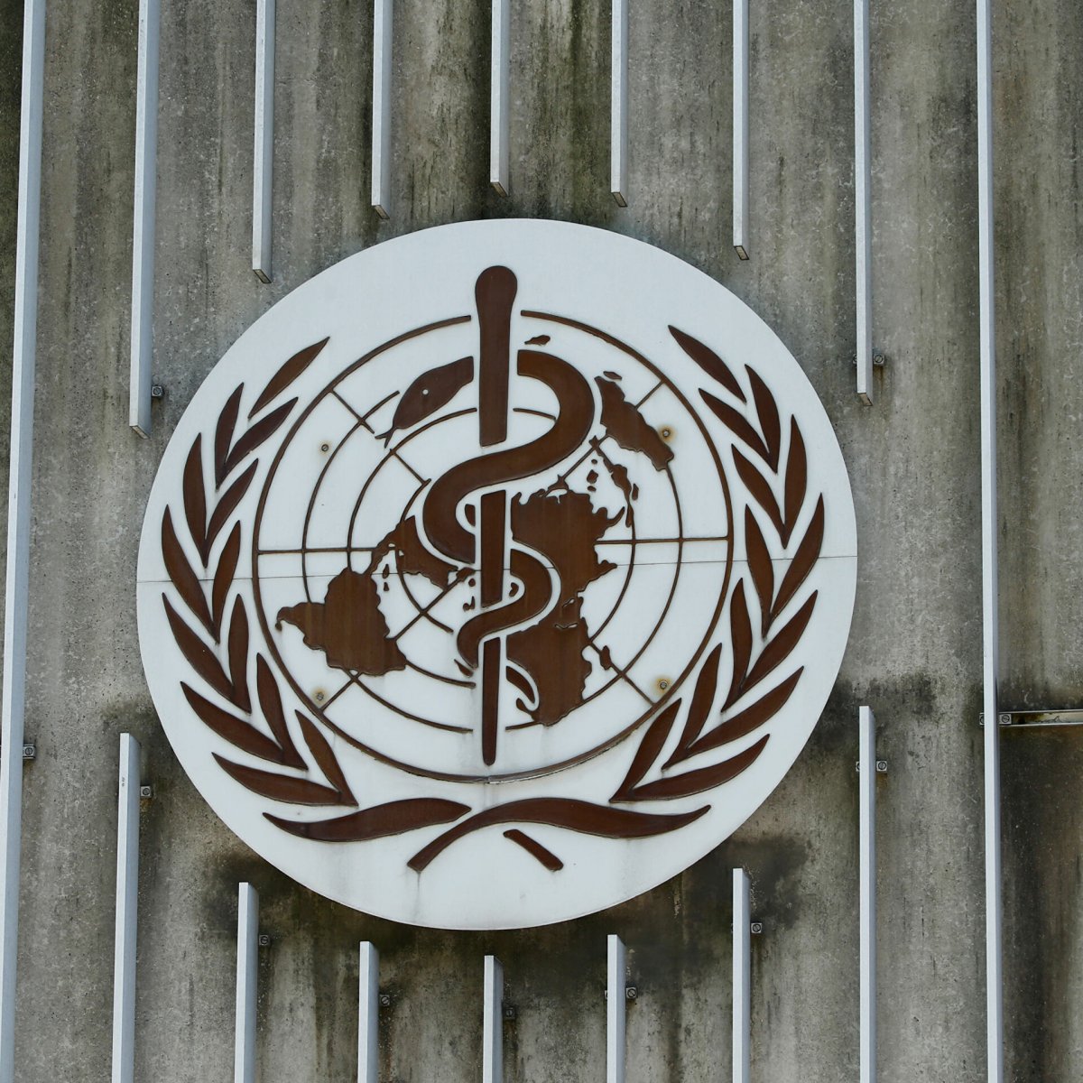 DSÖ den Ukrayna ya 36 ton tıbbi malzeme #1