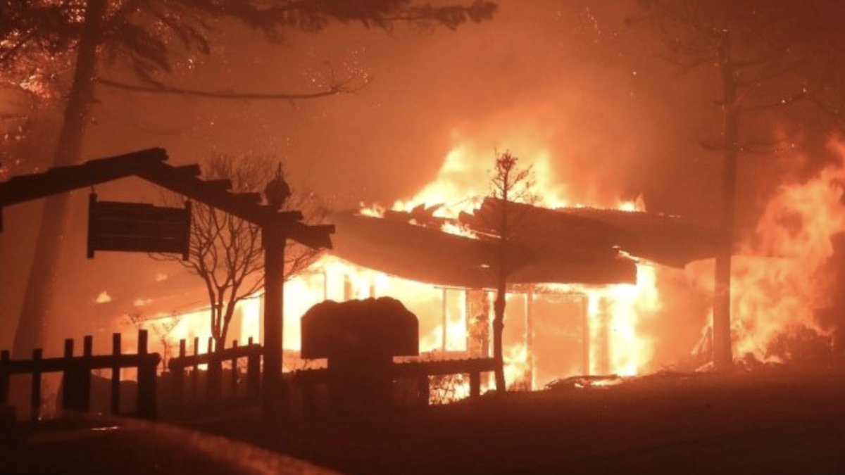 Forest fire in South Korea: 216 buildings burned down