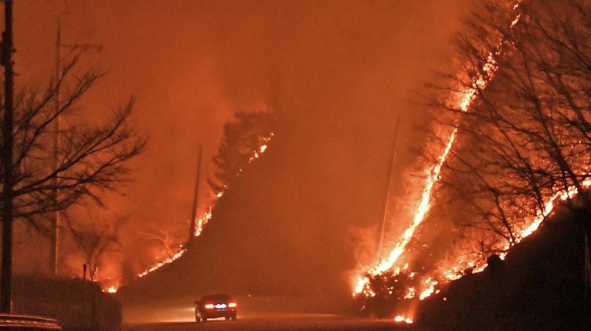 Güney Kore de orman yangını: 216 bina kül oldu #1