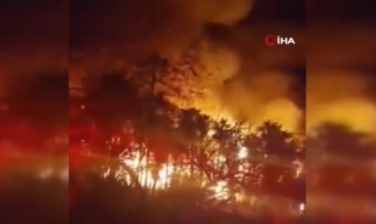 Meksika da çıkan orman yangınında 22 ev kül oldu #1