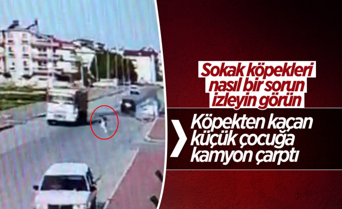 Antalya da sokak köpeklerinin saldırdığı küçük kızın bacağı kesildi #3