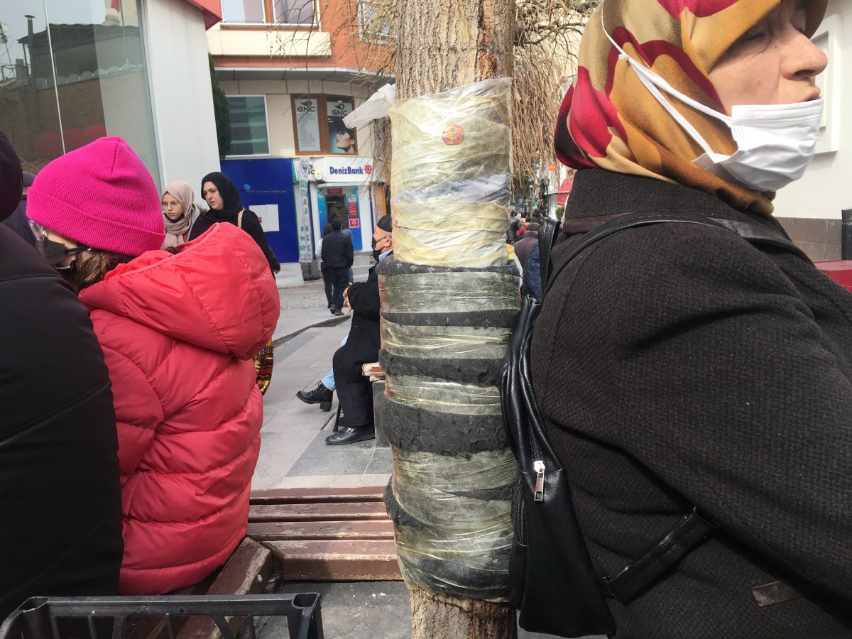 Eskişehir de ağaca rahat yaslanmak için sğnger bantladılar #1