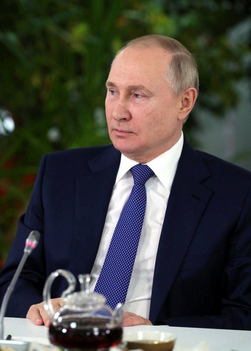 Putin: Only professional soldiers are fighting in Ukraine #2