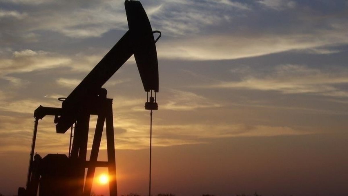 Nijerya dan Türkiye ye çağrı: Petrol ve doğal gaz varlıklarımıza yatırım yapın #2