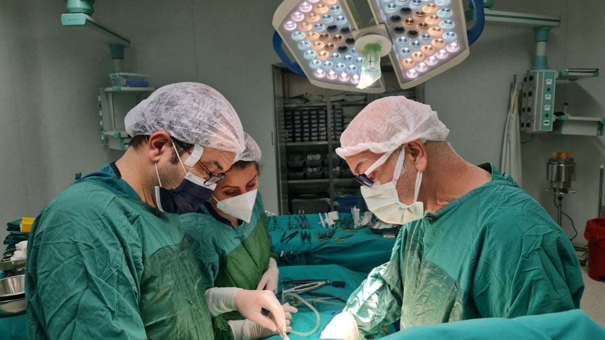 Bursa da organ bağışı, nakil bekleyen hastalara umut oldu #1