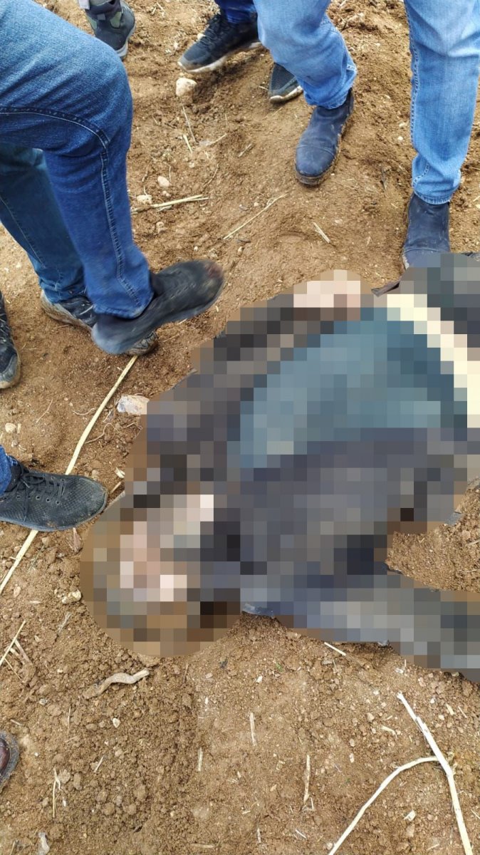 Şanlıurfa da polisleri şehit eden saldırgan ölü ele geçirildi #2